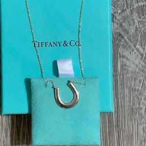 Tiffany Horseshoe Necklace